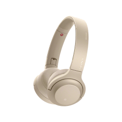 Bluetooth Hoofdtelefoon | SONY WH-H800 Goud