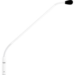 Denon DN-GNW Cardioid Condenser XLR Gooseneck Microphone (White, 24)