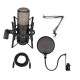 AKG Acoustics Project Studio P220 Diaphragm Condenser Microphone W/Accessory Kit