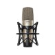 Shure KSM32 Embossed Single-Diaphragm Microphone, Champagne