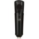 Warm Audio WA87 R2 Large-diaphragm Condenser Microphone - Black