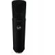 Warm Audio WA-87 R2 Large-Diaphragm Condenser Microphone