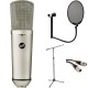 Warm Audio WA87 R2 Large-diaphragm Condenser Microphone with Stand, Cable, and Pop Filter