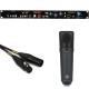 Neumann U87 Ai Set Large Diaphragm Condenser MIcrophone & API Channel Strip Bundle - Black