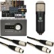 Townsend Labs Sphere L22 and Apollo x4 Heritage Edition Vocal Recording Bundle