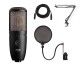 AKG Acoustics P420 Dual-Capsule True Condenser Microphone With Accessory Kit