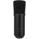 Nady SCM-800 Studio Condenser Microphone Review