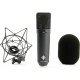 Neumann Microphone Set, Includes U 87 AI MT, EA 87 MT, WS 87, IC 3/25, Black