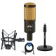 Heil Sound PR40 Large Diametr Cardioid Studio Microphone,Black Body W/ACC Bundle