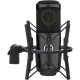Senal SCM-660 Large-Diaphragm Multi-Pattern Condenser Microphone Review