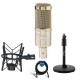 Heil Sound PR40 Large Diameter Cardioid Studio Microphone,Gold Body W/ACC Bundle