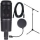 Audio-Technica AT 2050 Bundle