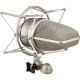 Neumann TLM 49 Cardioid Studio Condenser Microphone Review