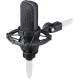 Audio-Technica AT4040 Studio Microphone Review