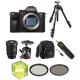 Sony Alpha a7R III Mirrorless Digital Camera with 16-35mm f/2.8 Lens Landscape Kit