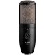 AKG P420 Project Studio Condenser Microphone Review