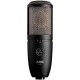 AKG P420 Project Studio Condenser Microphone