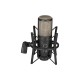 AKG Acoustics Project Studio P220 Large Diaphragm Condenser Microphone