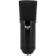 CAD U29 USB Side Address Studio Microphone