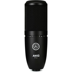 AKG P120 review