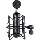 Blue Blackout Spark SL Large Diaphragm Condenser Microphone Review